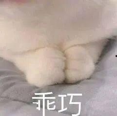 国产a斤,引领行业新潮流的匠心之作  第1张