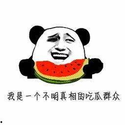 吃瓜汇总